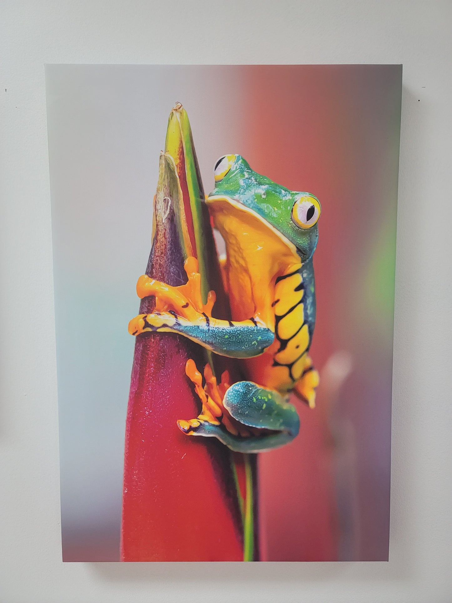 Custom Gallery Wrapped  Canvas Print