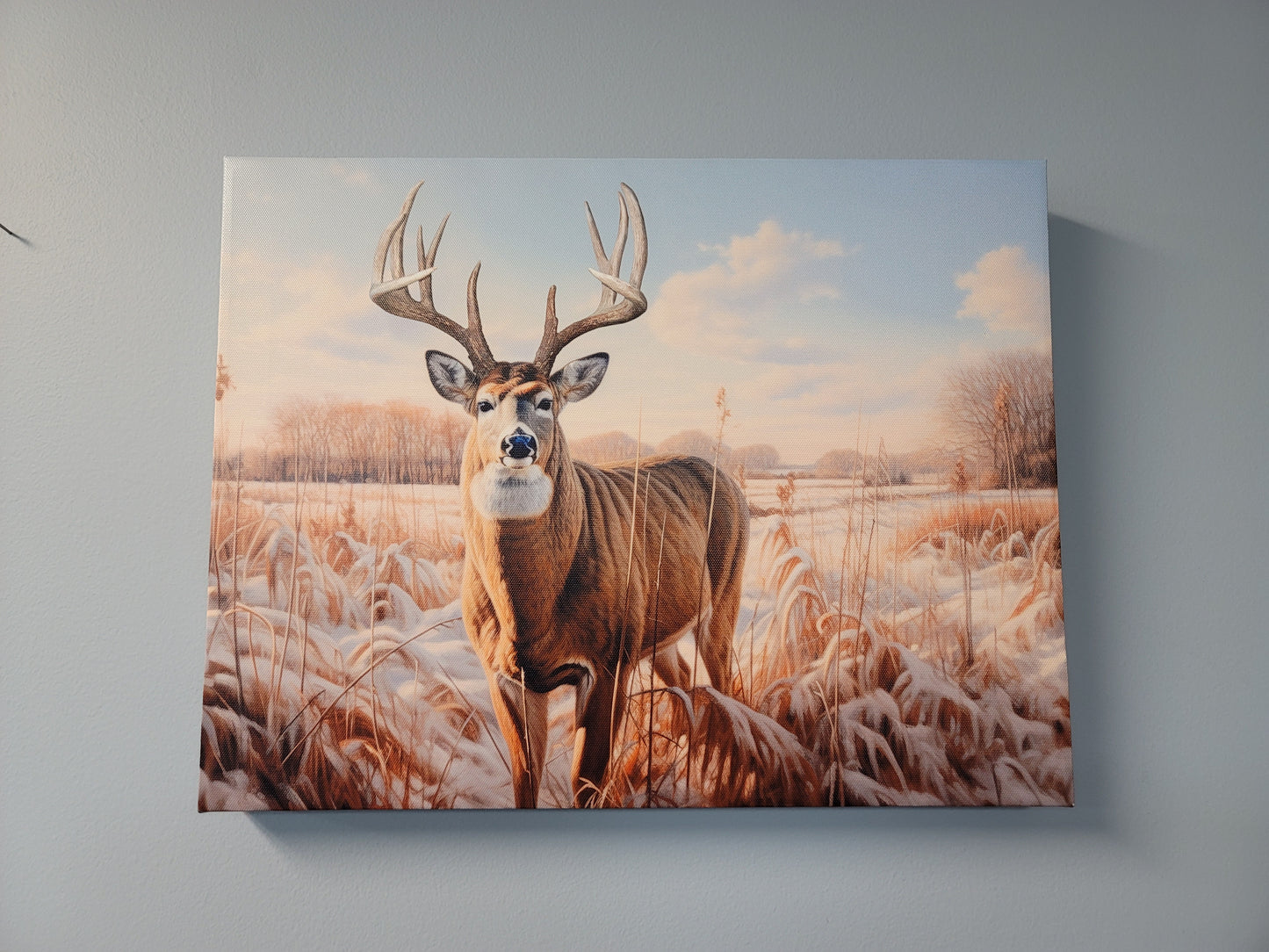 Custom Gallery Wrapped  Canvas Print
