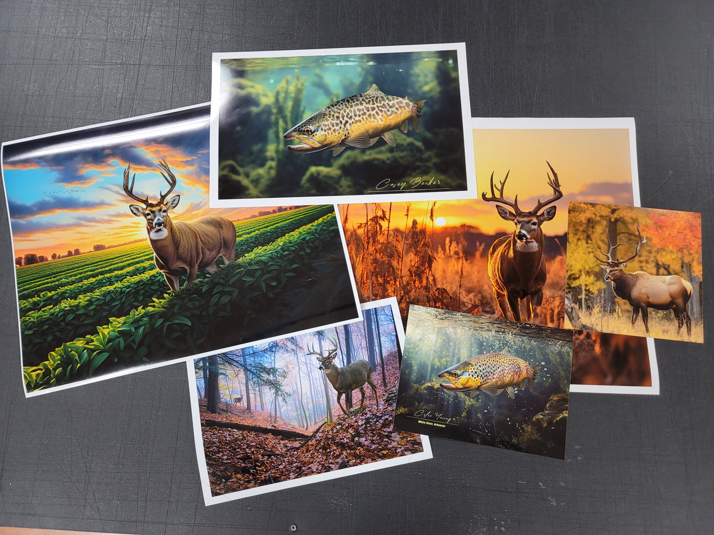Fine Art Quality Giclee Print
