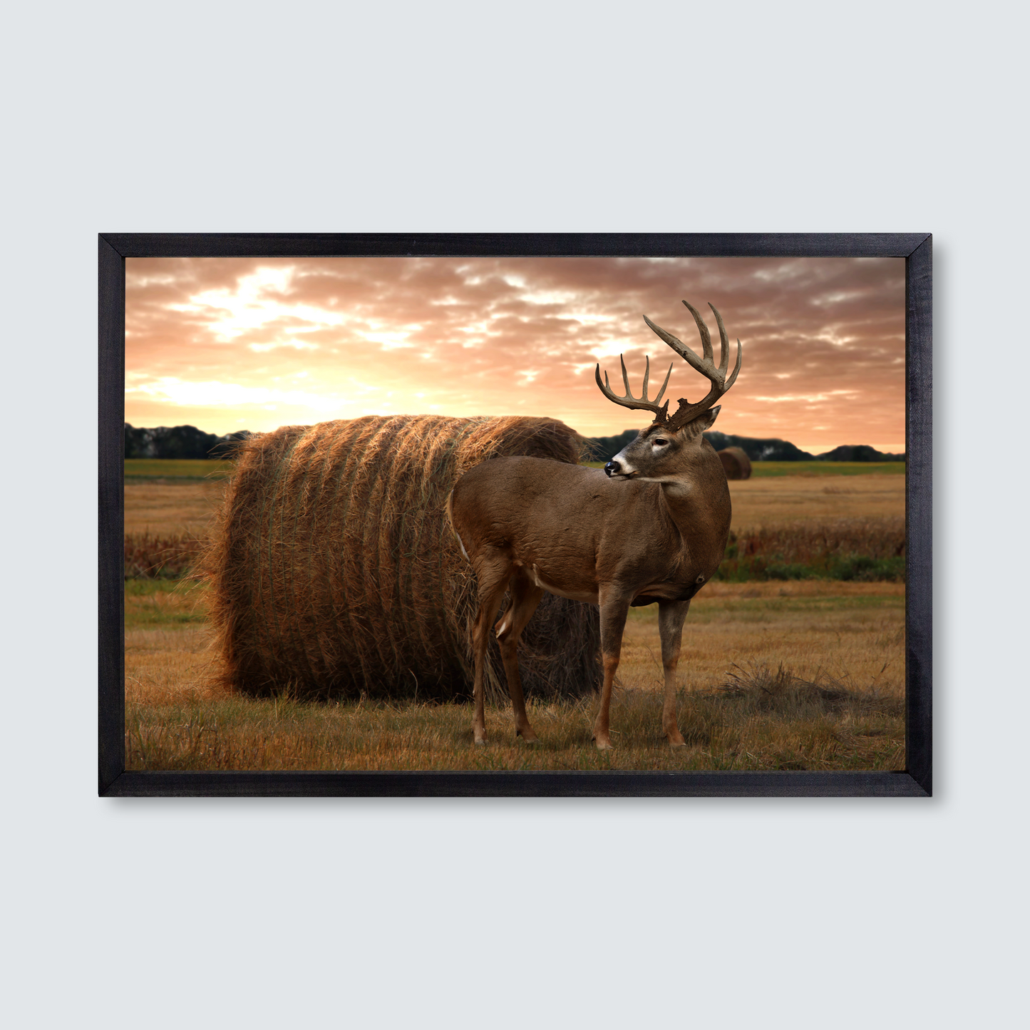 
                  
                    Digital Taxidermy Wood Framed Canvas Print
                  
                