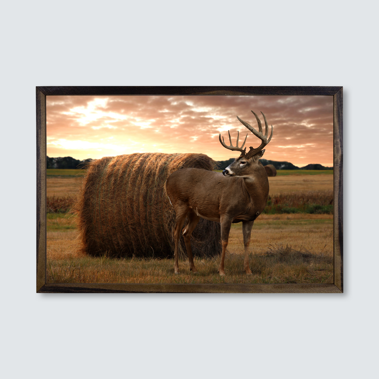 
                  
                    Digital Taxidermy Wood Framed Canvas Print
                  
                
