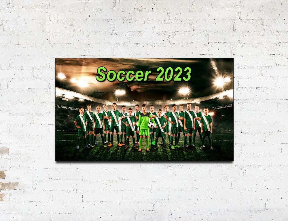 Economy Pre-Stretched Canvas Print - Sports