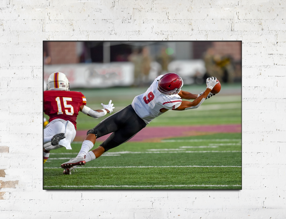 
                  
                    Sports - Custom Gallery Wrapped  Canvas Print
                  
                