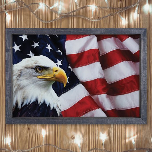 Patriotic Print - Eagle Flag 3