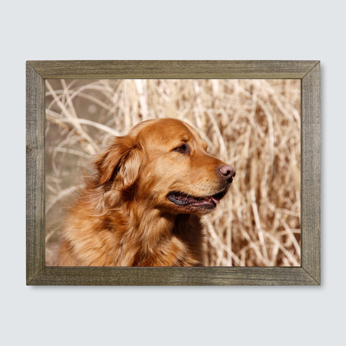Custom Wood Framed Canvas Print
