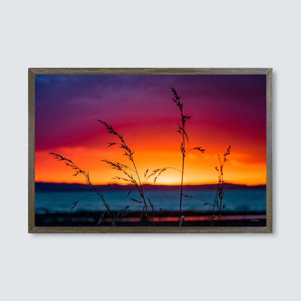 
                  
                    LPU004 - Sunset Grass
                  
                